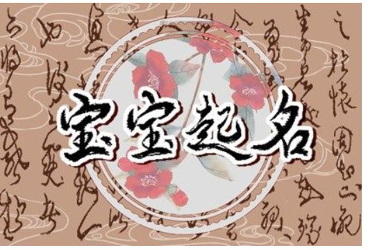 王嘉晨名字的意思