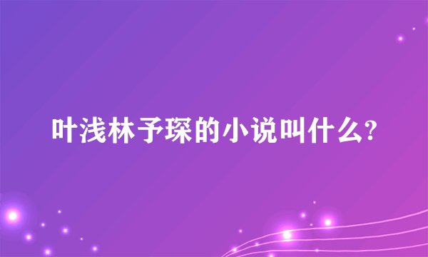 叶浅林予琛的小说叫什么?