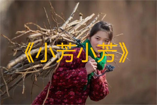 深秋的风吹起落地的叶的歌名