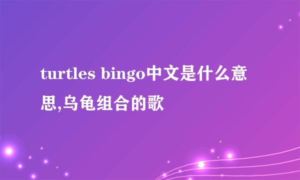 turtles bingo中文是什么意思,乌龟组合的歌