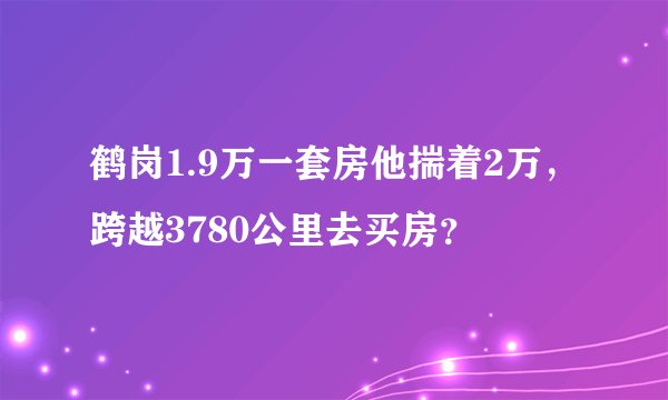 鹤岗1.9万一套房他揣着2万，跨越3780公里去买房？