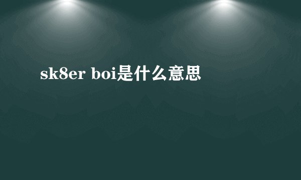 sk8er boi是什么意思