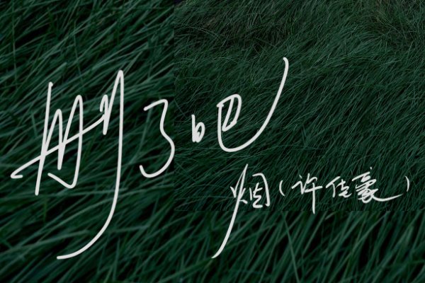 网络歌曲2023年流行歌曲排行榜