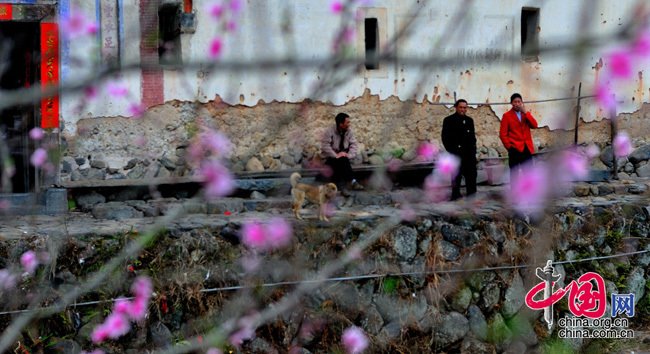 土楼春早的介绍