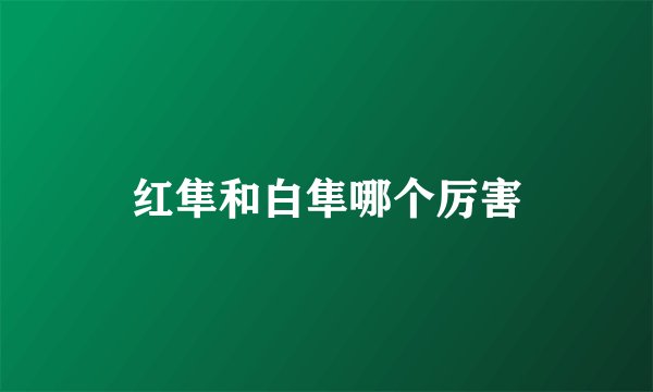 红隼和白隼哪个厉害
