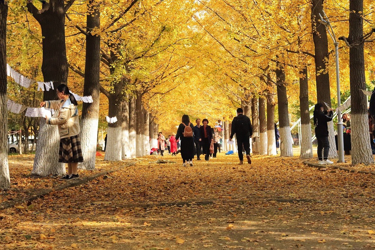 辽东学院的寝室条件好吗？