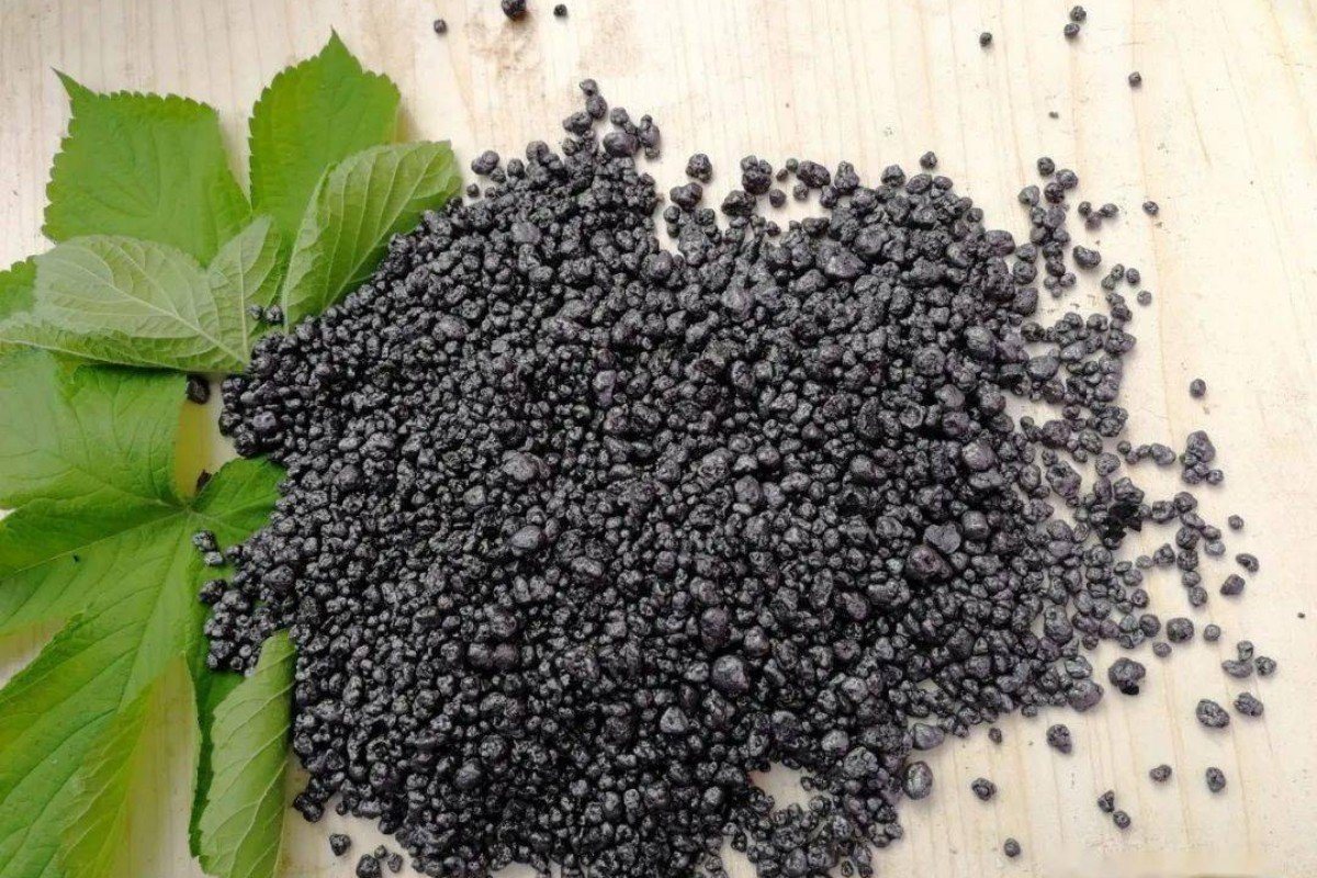 排名前十的微生物菌肥