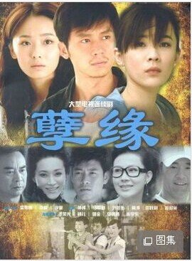 汪海灵什么电视剧