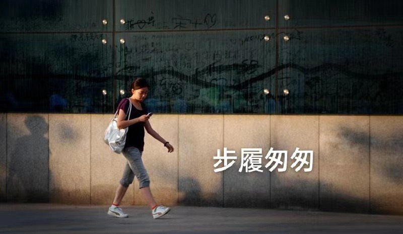 步履什么意思