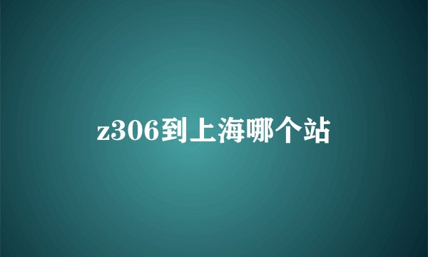 z306到上海哪个站