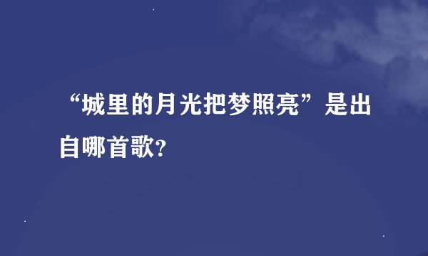 “城里的月光把梦照亮”是出自哪首歌？