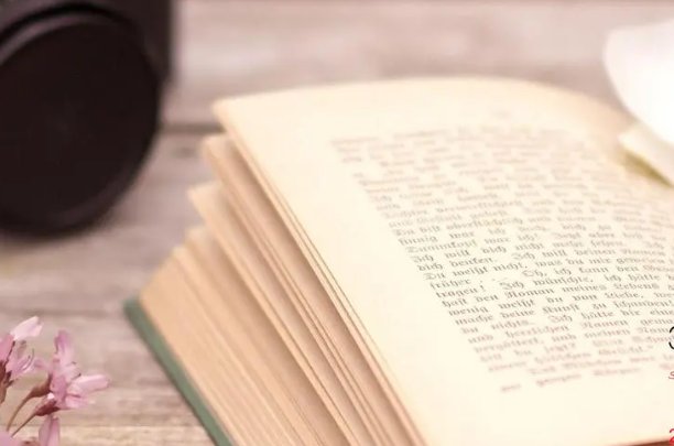 漫天飞雪的意思