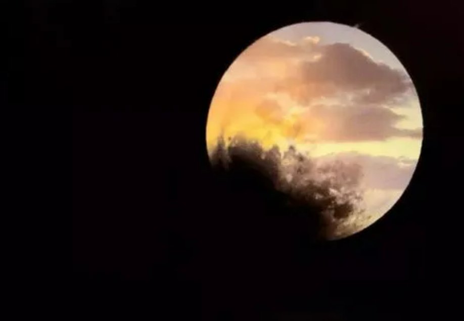 欲上青天揽明月下一句