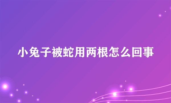小兔子被蛇用两根怎么回事