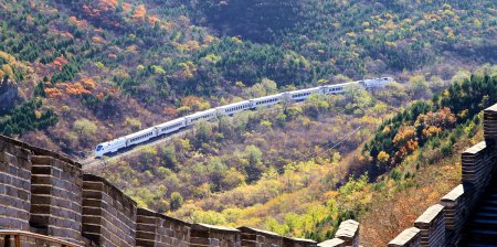 虎跃龙腾是什么意思