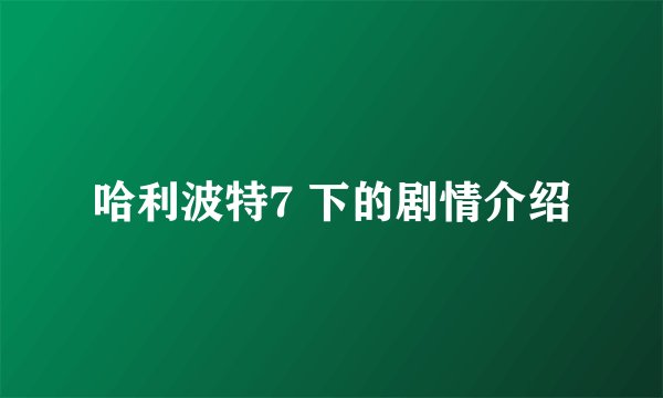 哈利波特7 下的剧情介绍