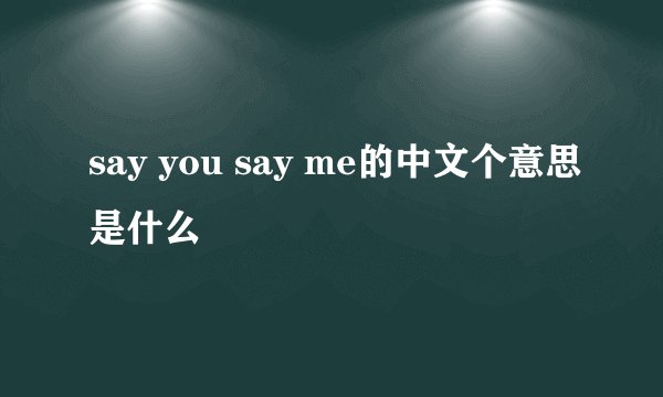 say you say me的中文个意思是什么