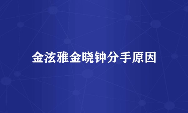 金泫雅金晓钟分手原因