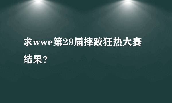 求wwe第29届摔跤狂热大赛结果？