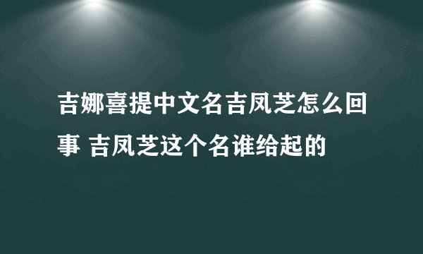 吉娜喜提中文名吉凤芝怎么回事 吉凤芝这个名谁给起的