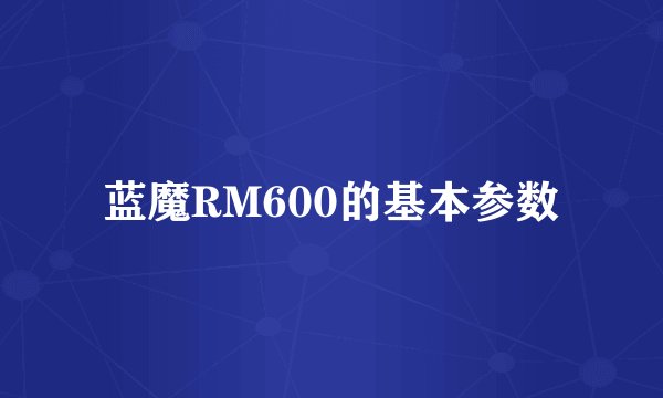 蓝魔RM600的基本参数