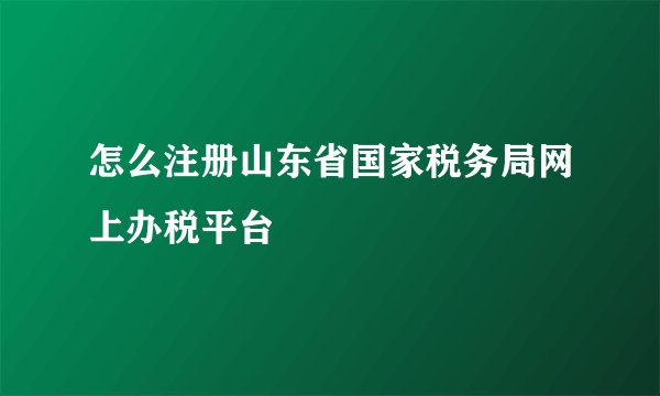 怎么注册山东省国家税务局网上办税平台