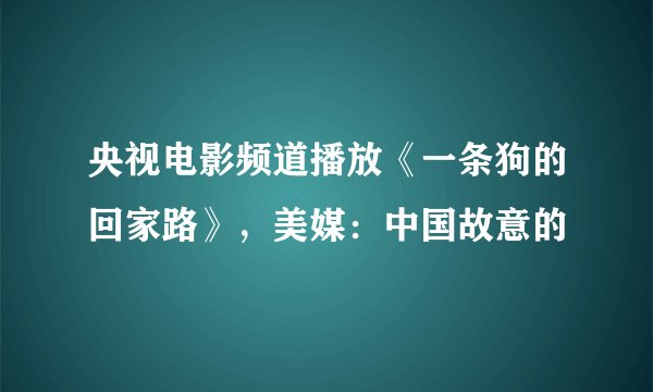 央视电影频道播放《一条狗的回家路》，美媒：中国故意的