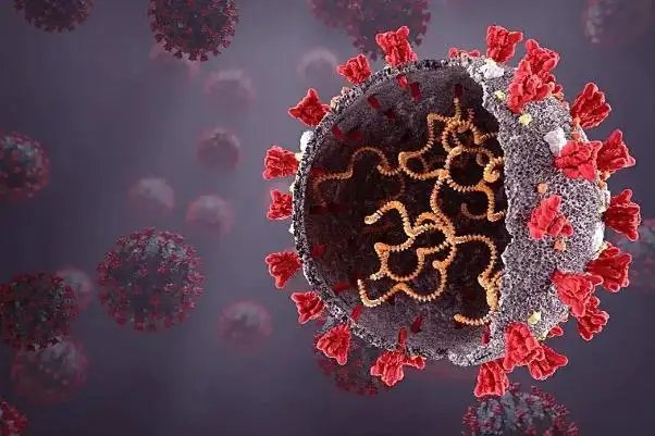 9种变异株登陆各省，为何新冠病毒在不断的异株？