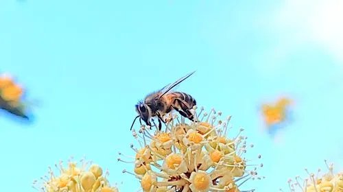 救5人遇难英雄告别式：儿子跪别父亲，现场还有哪些令人泪目的细节？