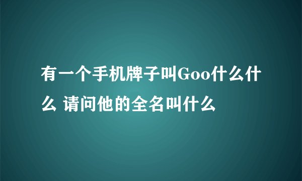 有一个手机牌子叫Goo什么什么 请问他的全名叫什么