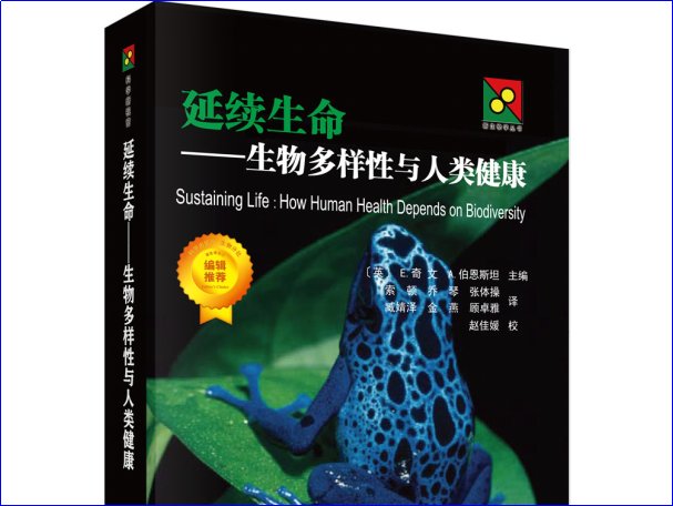 白龙王十大预言