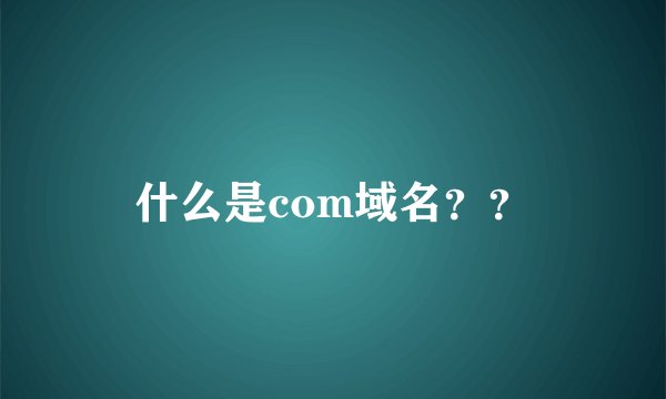 什么是com域名？？