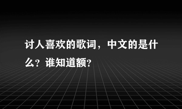 讨人喜欢的歌词，中文的是什么？谁知道额？