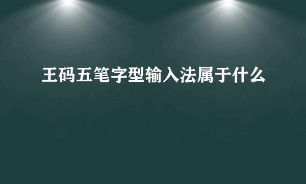 王码五笔字型输入法属于什么