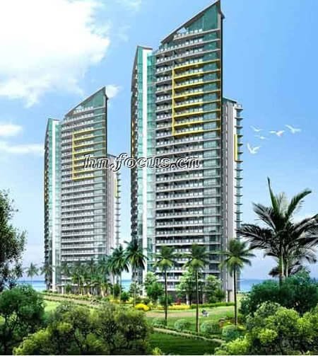 鸿洲集团的介绍