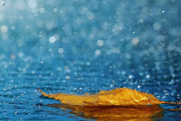 在我国春雨贵如油的说法