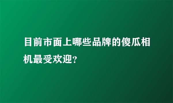 目前市面上哪些品牌的傻瓜相机最受欢迎？