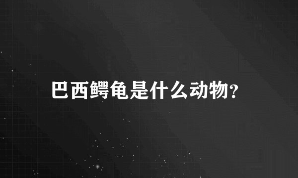 巴西鳄龟是什么动物？