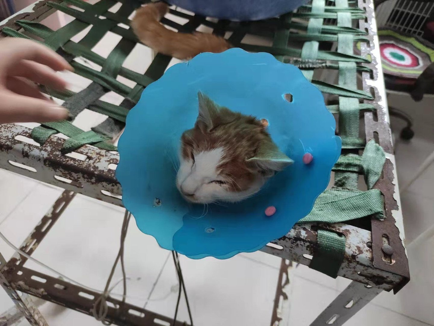 辽东学院的寝室条件好吗？