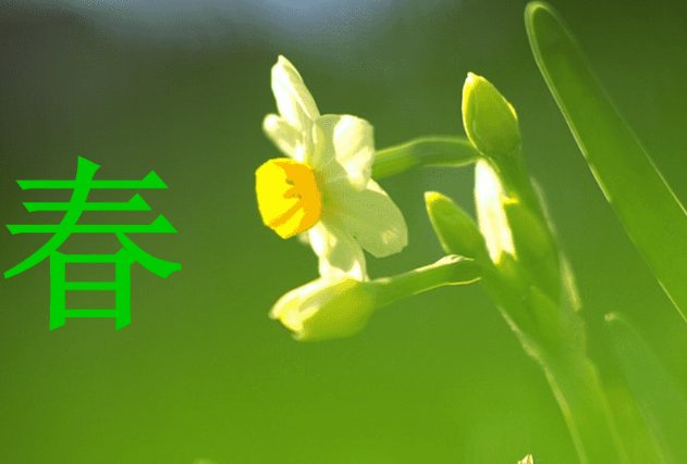 chun一声到四声汉字