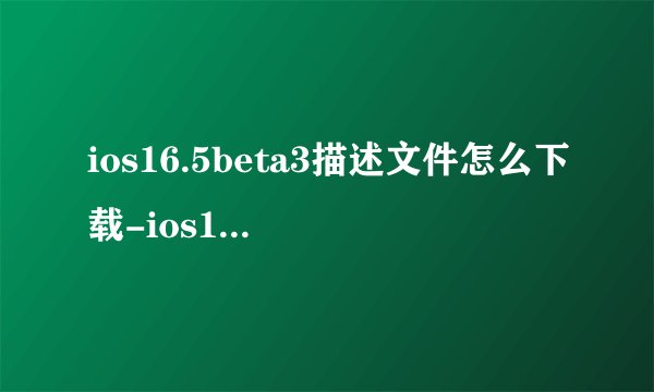ios16.5beta3描述文件怎么下载-ios16.5beta3描述文件下载方法分享
