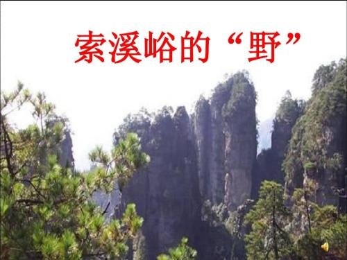 人教版小学六年级语文上一单元第4课《索溪峪的“野”》主要内容