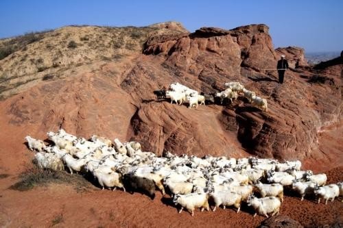 正月里来正月正 正月十五闹花灯 是什么歌名