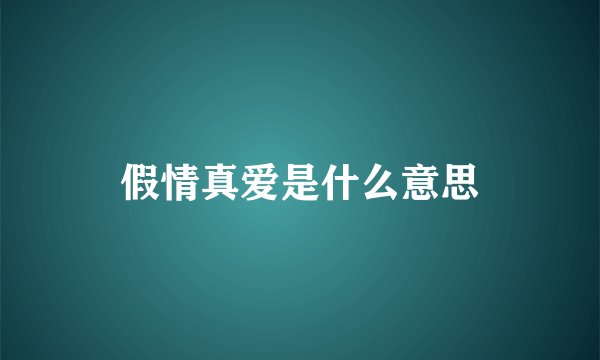 假情真爱是什么意思
