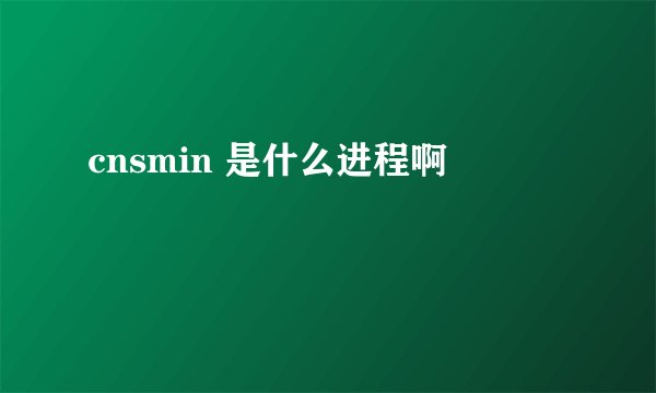 cnsmin 是什么进程啊