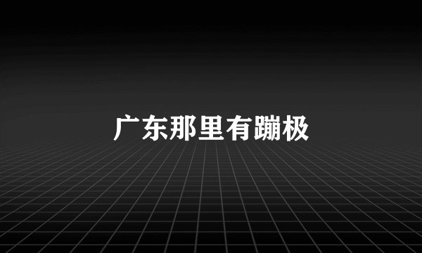 广东那里有蹦极