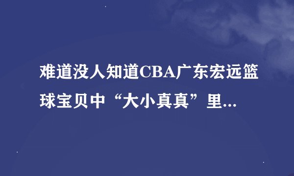 难道没人知道CBA广东宏远篮球宝贝中“大小真真”里面“小真真”的姓名和资料？