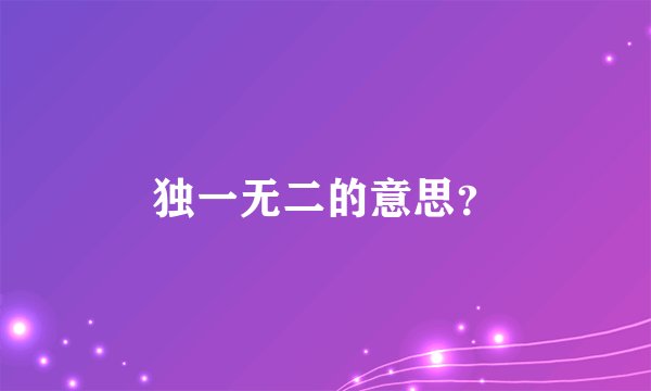 独一无二的意思？