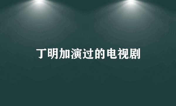 丁明加演过的电视剧