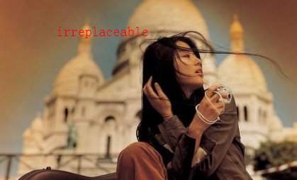 无可取代英文怎么说